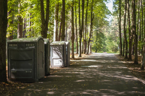 Best Storm Damage Tree Cleanup  in USA